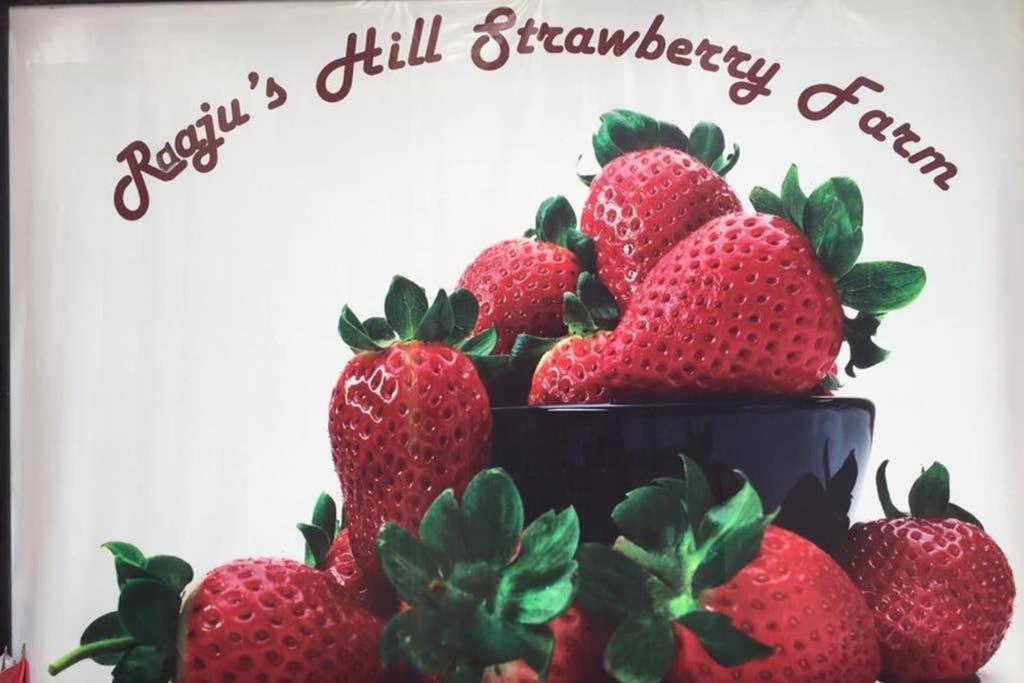 Lily Homestay Barrington Square Cameron Highlands. Brinchang Ngoại thất bức ảnh