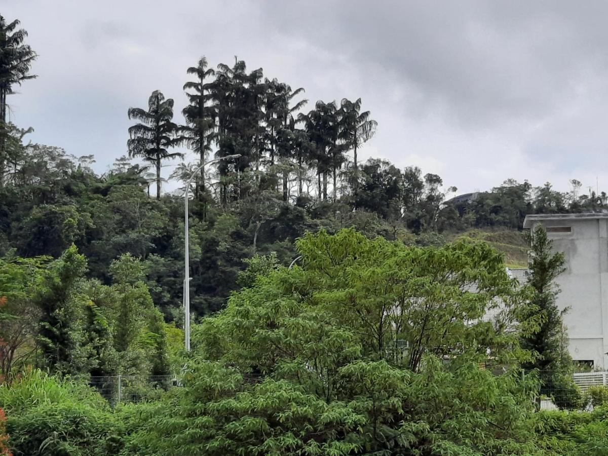 Lily Homestay Barrington Square Cameron Highlands. Brinchang Ngoại thất bức ảnh