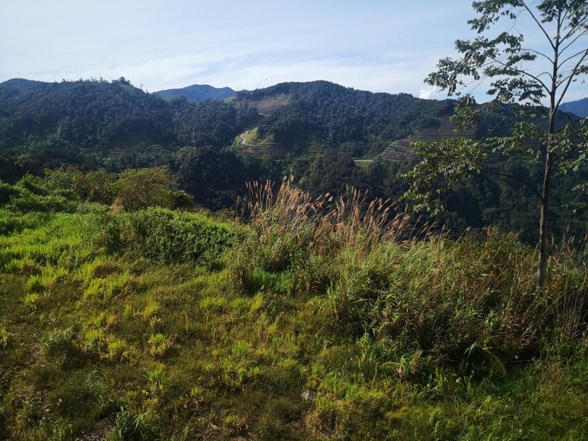 Lily Homestay Barrington Square Cameron Highlands. Brinchang Ngoại thất bức ảnh